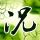 谢娜开演唱会上瘾了